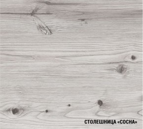 АСАЯ Кухонный гарнитур Экстра 2 (3000 мм) ПМ в Лесном - lesnoy.mebel-74.com | фото