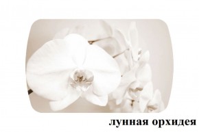 БОСТОН - 3 Стол раздвижной Лунная орхидея 1100/1420 опоры Триумф в Лесном - lesnoy.mebel-74.com | фото