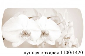 БОСТОН - 3 Стол раздвижной Лунная орхидея 1100/1420 опоры Триумф в Лесном - lesnoy.mebel-74.com | фото
