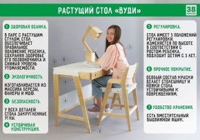 Комплект растущий стол и стул 38 попугаев «Вуди» (Серый, Без покрытия) в Лесном - lesnoy.mebel-74.com | фото