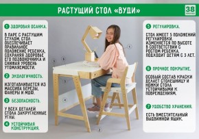Комплект растущий стол и стул с чехлом 38 попугаев «Вуди» (Белый, Береза, Ромбы) в Лесном - lesnoy.mebel-74.com | фото