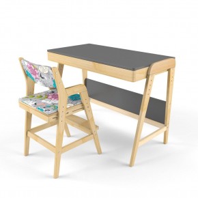 Комплект растущий стол и стул с чехлом 38 попугаев «Вуди» (Серый, Без покрытия, Мечта) в Лесном - lesnoy.mebel-74.com | фото