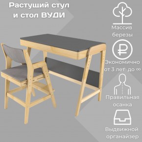 Комплект растущий стол и стул с чехлом 38 попугаев «Вуди» (Серый, Без покрытия, Серый) в Лесном - lesnoy.mebel-74.com | фото