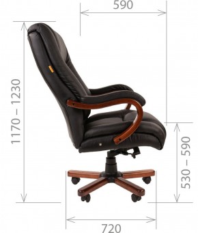 Кресло для руководителя CHAIRMAN  503 (Кожа) Черное в Лесном - lesnoy.mebel-74.com | фото