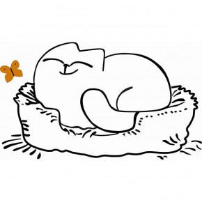 Кровать двухуровневая Кот № 900.1 ЛЕВАЯ (туя светлая/белый) в Лесном - lesnoy.mebel-74.com | фото