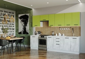 Кухонный гарнитур Гарда 3000 (Стол. 26мм) в Лесном - lesnoy.mebel-74.com | фото