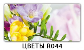 Обеденный раздвижной стол Бриз с фотопечатью Цветы R044 в Лесном - lesnoy.mebel-74.com | фото