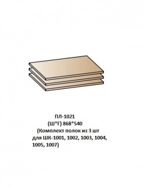 ПЛ-1021 (Комплект полок из 3 шт для ШК-1001, 1002, 1003, 1004, 1005, 1007) в Лесном - lesnoy.mebel-74.com | фото