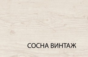 Шкаф 2DG2S, MAGELLAN, цвет Сосна винтаж в Лесном - lesnoy.mebel-74.com | фото