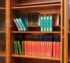Шкаф для книг арт. 200 в Лесном - lesnoy.mebel-74.com | фото