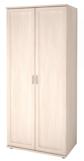 Шкаф для одежды 2-х дверный Ника-Люкс 21 в Лесном - lesnoy.mebel-74.com | фото