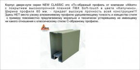 Шкаф-купе 1500 серии NEW CLASSIC K3+K3+B2+PL1 (2 ящика+1 штанга) профиль «Капучино» в Лесном - lesnoy.mebel-74.com | фото