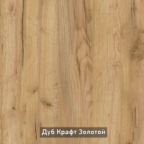 Шкаф купе без зеркала "Ольга-Лофт 10.1" в Лесном - lesnoy.mebel-74.com | фото