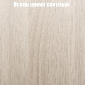 Шкаф-купе «ТАНДЕМ» 2-х дверный в алюминиевом профиле (Дверь ЛДСП+ЛДСП) 1200/h2200 в Лесном - lesnoy.mebel-74.com | фото