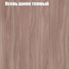 Шкаф-купе «ТАНДЕМ» 2-х дверный в алюминиевом профиле (Дверь ЛДСП+ЛДСП) 1200/h2200 в Лесном - lesnoy.mebel-74.com | фото