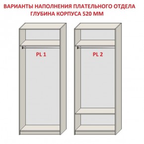 Шкаф распашной серия «ЗЕВС» (PL3/С1/PL2) в Лесном - lesnoy.mebel-74.com | фото