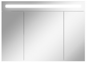 Шкаф-зеркало Аврора 100 с подсветкой LED Домино (DV8012HZ) в Лесном - lesnoy.mebel-74.com | фото