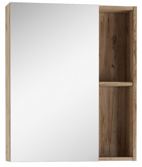 Шкаф-зеркало Craft 60 левый/правый Домино (DCr2203HZ) в Лесном - lesnoy.mebel-74.com | фото