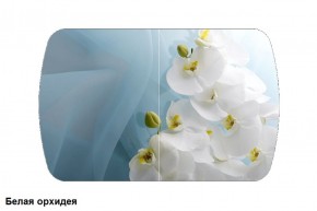Стол Бостон 900*600 (опоры Брифинг) Стекло/фотопечать Белая Орхидея в Лесном - lesnoy.mebel-74.com | фото