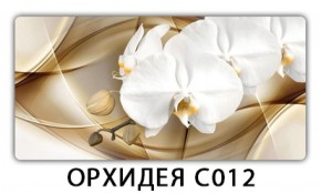 Стол раздвижной Трилогия с фотопечатью Орхидея C012 в Лесном - lesnoy.mebel-74.com | фото
